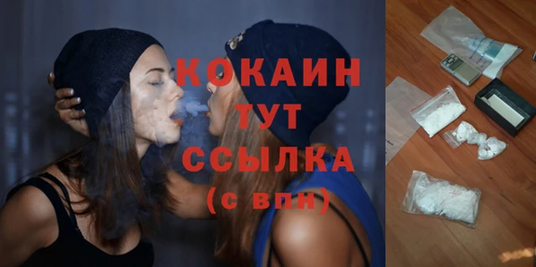ПСИЛОЦИБИНОВЫЕ ГРИБЫ Михайловка