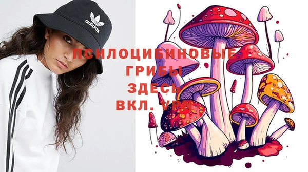 ПСИЛОЦИБИНОВЫЕ ГРИБЫ Михайловка